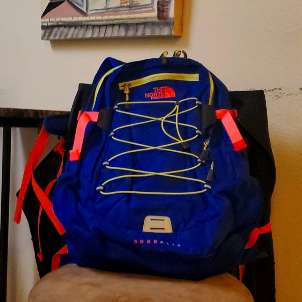 Northface backpack borealis